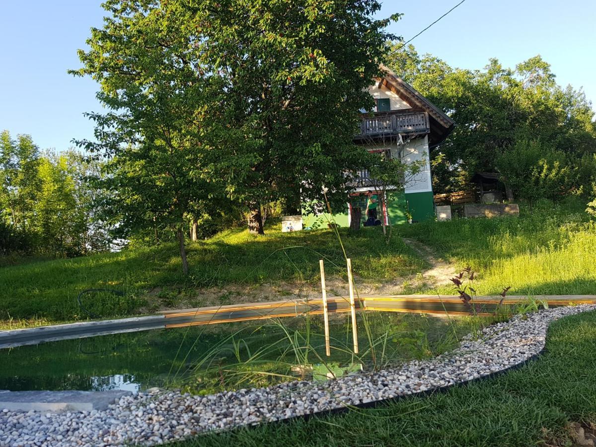 Holiday Home Sonnenhaus Svecina Zewnętrze zdjęcie